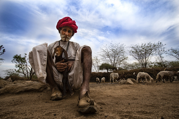 Bera Safari Lodge: Volk der Rabaris