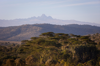 Borana Lodge Borana Lodge: Landschaftsblick mit Bäumen im Vordergrund