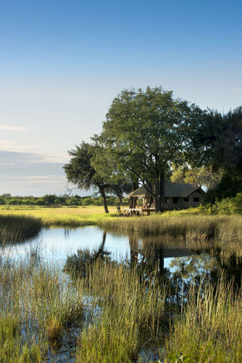 Duba Explorers Camp: Zelt im Galeriewald