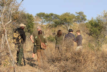 Jozibanini Camp Jozibanini Camp: Walking Safari
