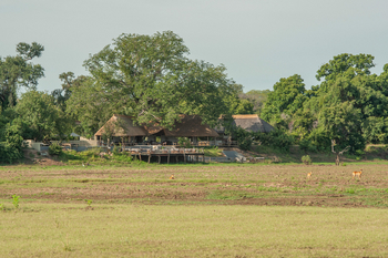 Kafunta River Lodge: Lage unter Bäumen