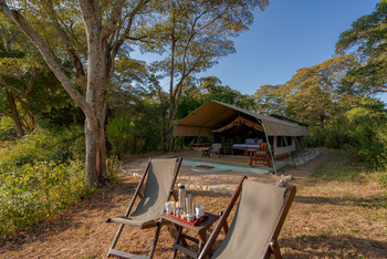 Kitich Forest Camp: Zelt zwischen Bäumen