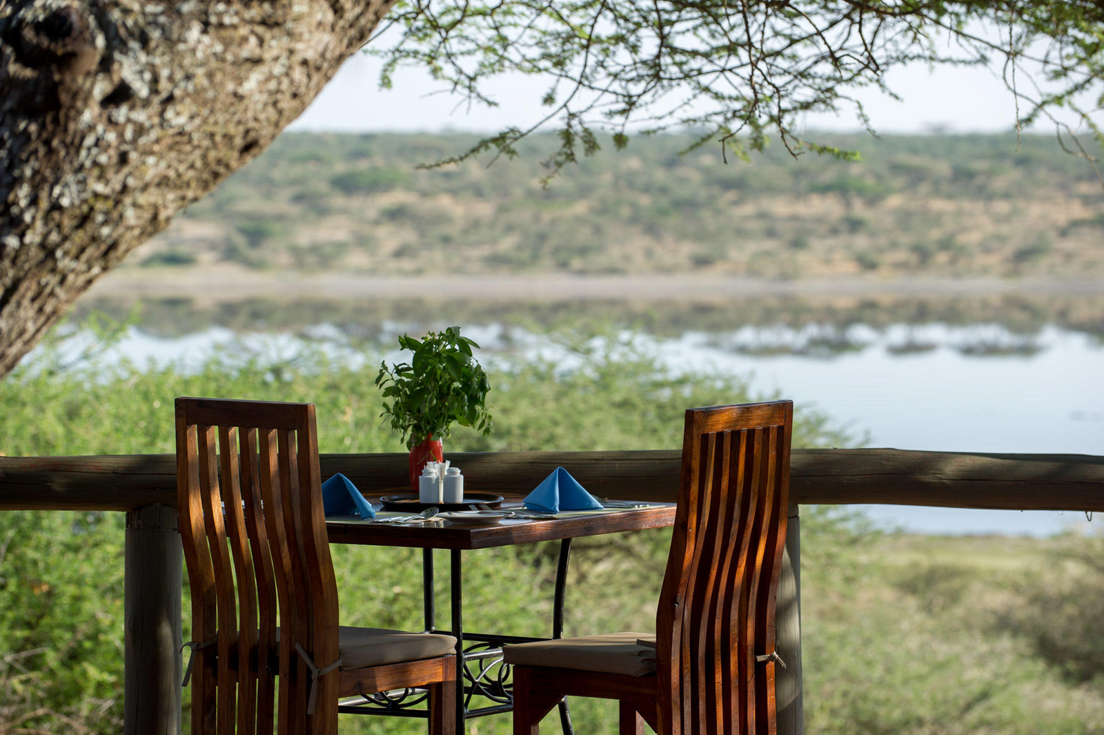 Masek Tented Lodge Masek Tented Lodge: Esstisch im Außenbereich