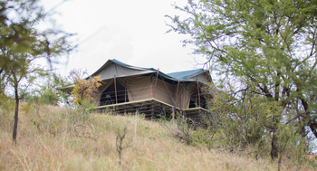 Ole Serai Camp Seronera: Campgelände