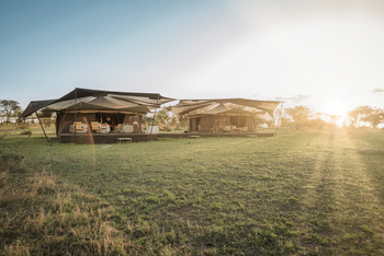 Siringit Migration Camp: Hauptzelte auf ebener Fläche