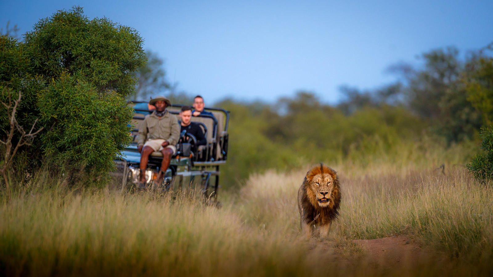 Tanda Tula Safari Camp Tanda Tula Safari Camp: Game Drive