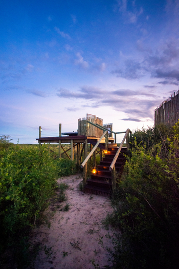 Tau Pan Camp Tau Pan Camp: Sleep-out Deck - Aufgang