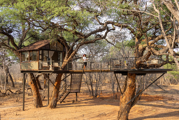 Tum Tum Treehouse Lodge: Treehouse Goshawk