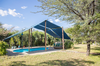 Boteti River Camp: Pool im Garten