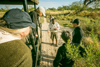 Bushman Plains Camp: Spurenlesen