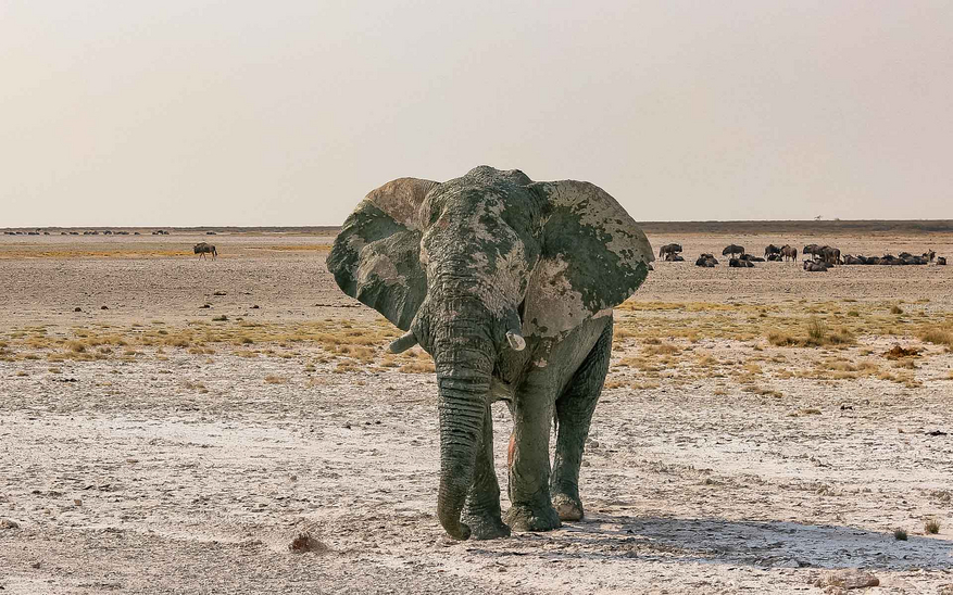 Etosha Oberland Lodge