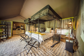 Forest Chem Chem: Einzelbetten