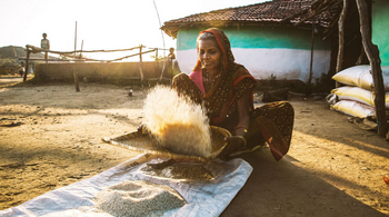 Jamtara Wilderness Camp: Spreu und Weizen