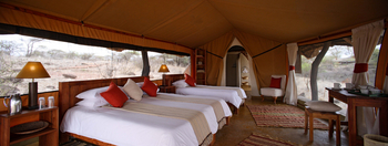 Lewa Safari Camp: Standard Tent
