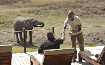 Lion Camp Lion Camp: Getränkeservice