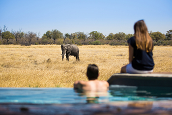 Little Machaba Camp: Elefant am Infinity Pool