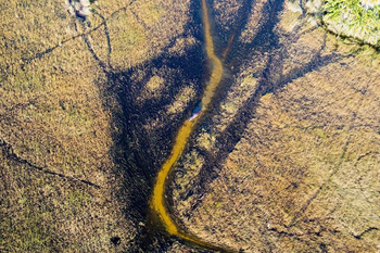 Mogogelo Camp Mogogelo Camp: Nilpferd im Kanal