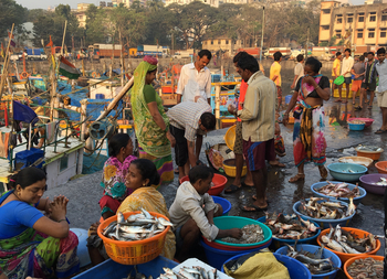 Mumbai: Sassoon Dock Fischhändler