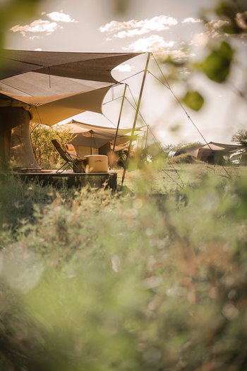 Siringit Migration Camp: Gästezelte