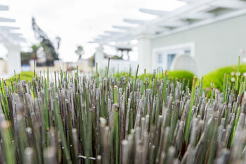 Swakopmund Guesthouse: Deko