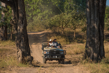 Tena Tena Camp Tena Tena Camp: Game Drive