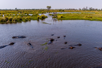 Tuludi Camp: Ausflug in einen Hippo Pool