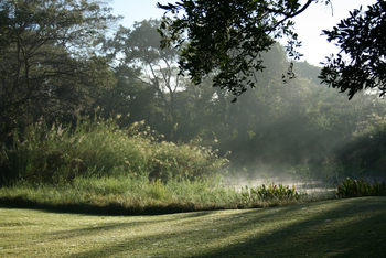 Waterberry Zambezi Lodge: Morgennebel im Garten