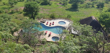 Adere Safari Lodge: Swimming Pool