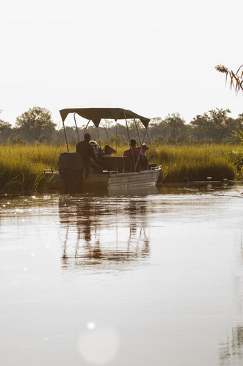 Belmond Eagle Island Lodge: Safariboot
