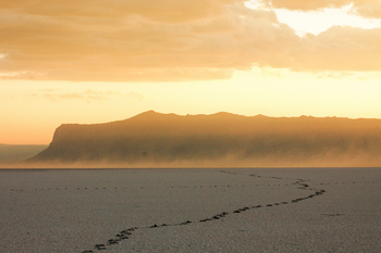 Chem Chem Lodge: Spuren im Seeboden