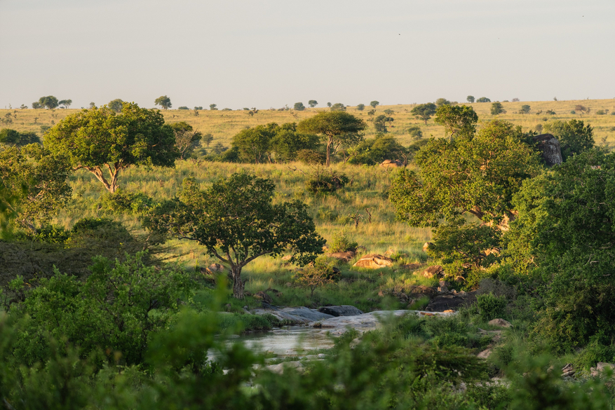 Elewana Serengeti Migration Camp