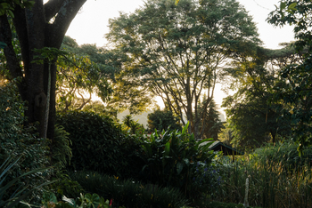 Gibb's Farm: Grüne Gärten