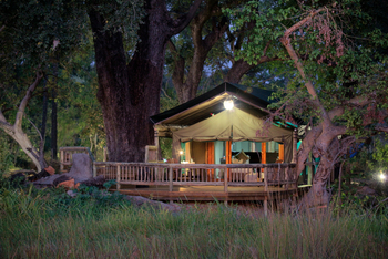 Gunn's Camp: Unter Bäumen