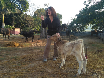 Jim's Jungle Retreat: Village Walk