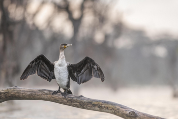 Loldia House: Lake Oloidien