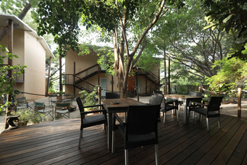 Maun Waterfront Guesthouse: Deck im Garten