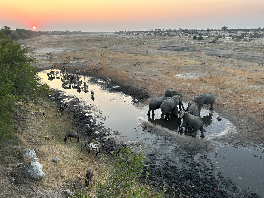 Moela Safari Lodge