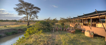 Ol Pejeta Bush Camp: Gemeinsamer Sundowner