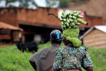 Papaya Lake Lodge: Grundnahrungsmittel