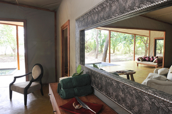 Potato Bush Camp: Family Tent