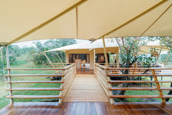 Serengeti Bushtops: Family Tent