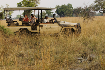 Shinde Lodge Shinde Lodge: Leopard