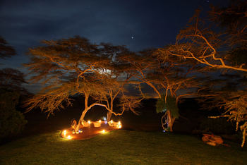 Solio Lodge: Lunch Island bei Mondschein