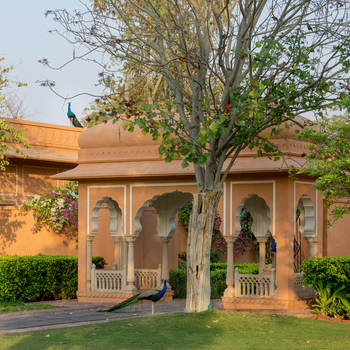 The Oberoi Rajvilas: Pfau im Garten