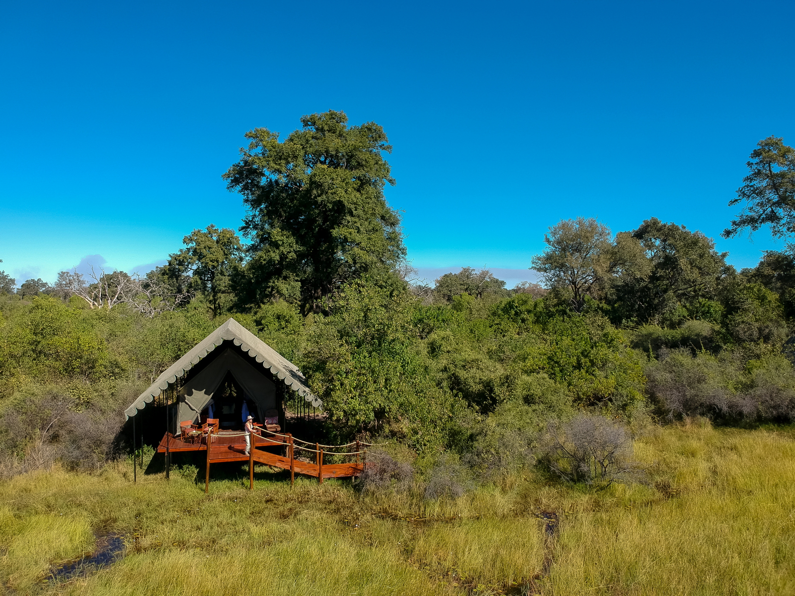 Duke's Camp Duke's Camp: Gästezelt unter Bäumen