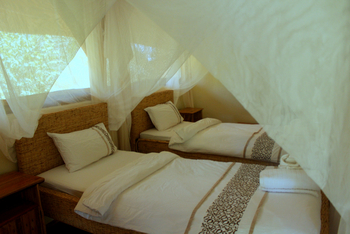 Enjojo Lodge: Einzelbetten