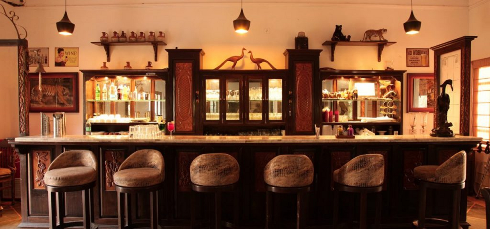 Irai Safari Retreat Irai Safari Retreat: Bar