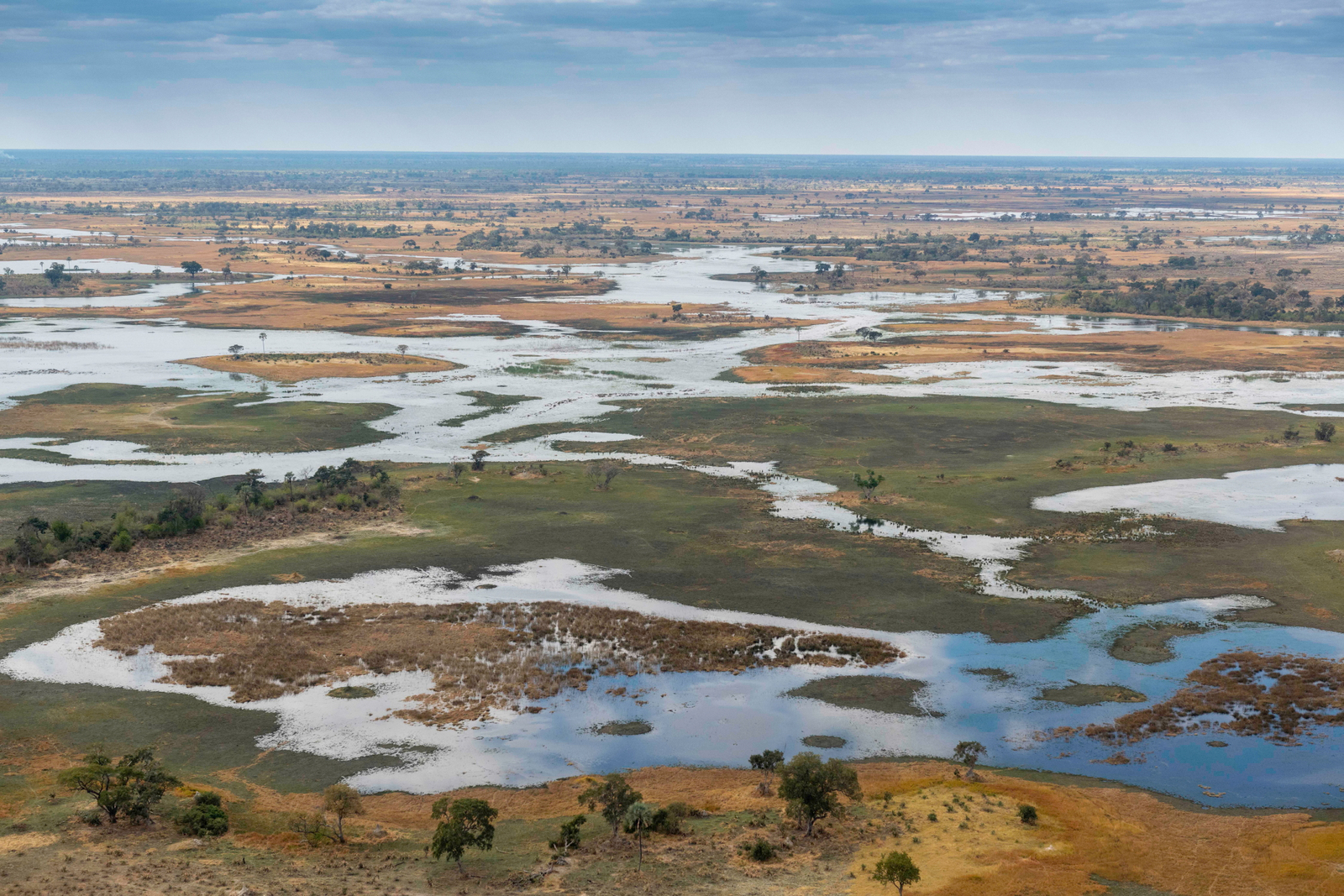 Kiri Camp Kiri Camp: Überflutete Landschaft