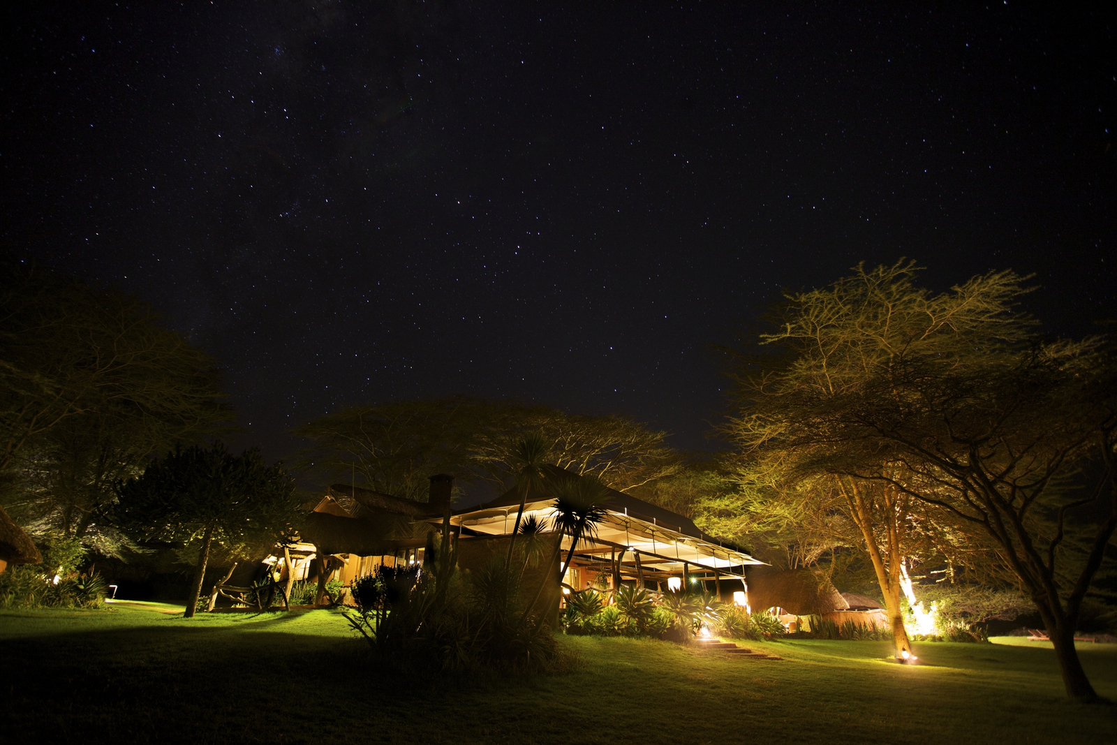 Lewa Safari Camp Lewa Safari Camp: Hauptgebäude bei Nacht