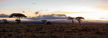 Mahali Mzuri: Landschaft
